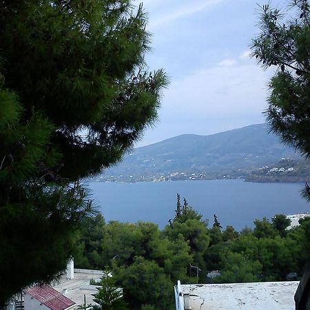Mina Apartments Poros Town Exterior foto