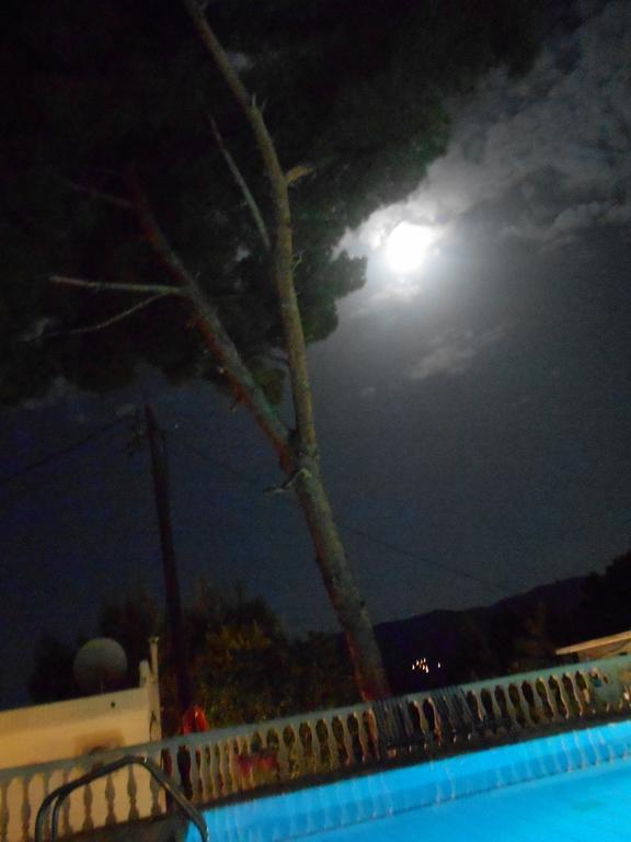 Mina Apartments Poros Town Exterior foto