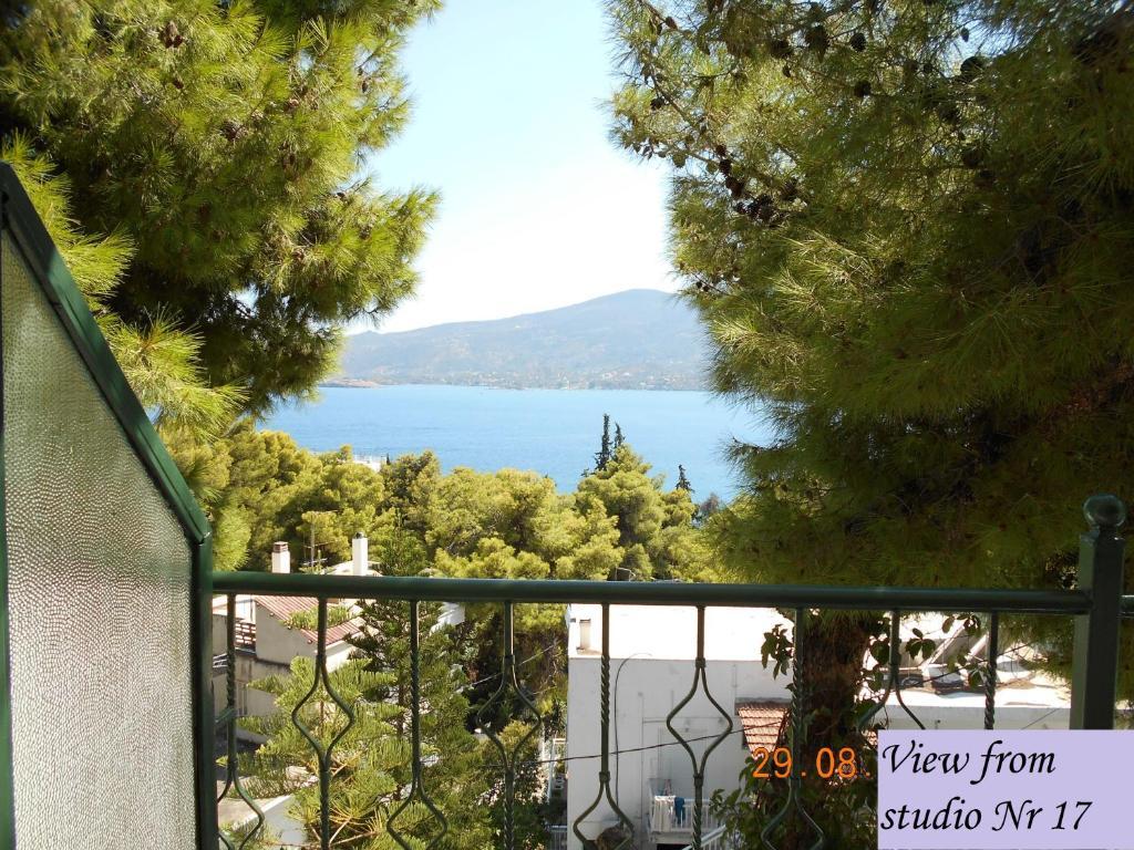 Mina Apartments Poros Town Habitación foto